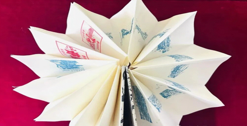 f5a791d1dc5080a1150d25c0aaa3e57